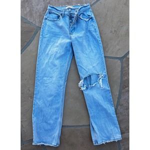 Abercrombie & Fitch The 90s Baggy Low Rise Button Fly Jeans 26/2L Curve Love